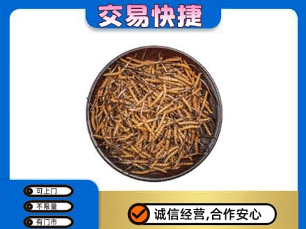 上海闵行区高价回收散虫草