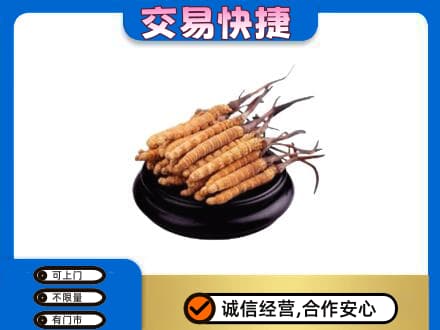 上海闵行区回收冬虫夏草多少钱每克